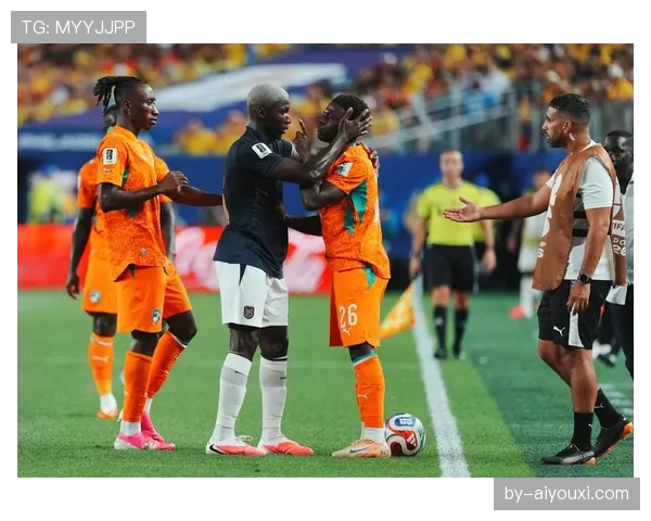 科特迪瓦1-0厄瓜多尔：世界杯小组赛战报整理